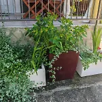 House Provance Dom wakacyjny Brod na Kupi