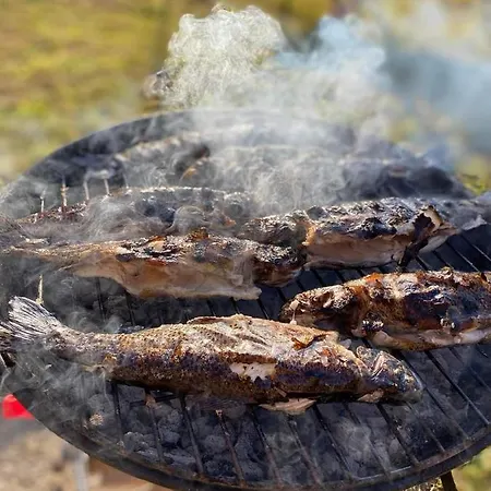 House Provance Brod na Kupi