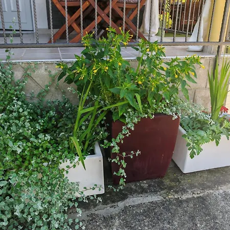 House Provance Дом отдыха Brod na Kupi